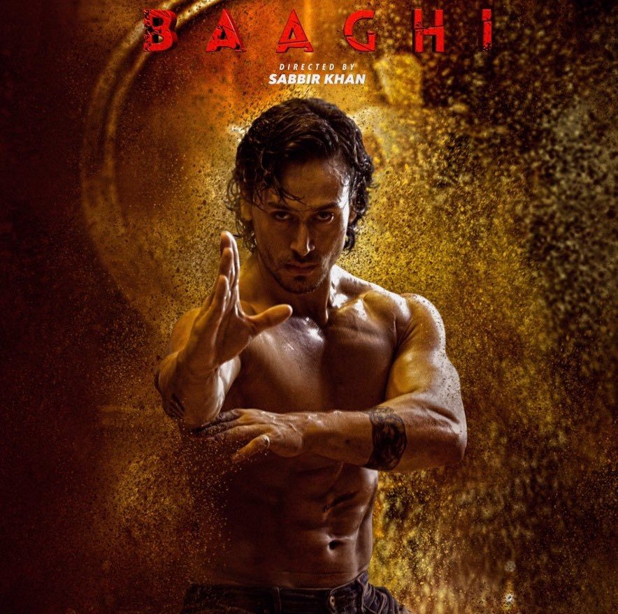 Download Baaghi (2016) Hindi 720p + 1080p + 2160p 4K BluRay x265 10bit HEVC