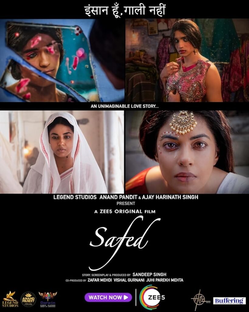 Safed 2023 Hindi WebRip 720p + 1080p