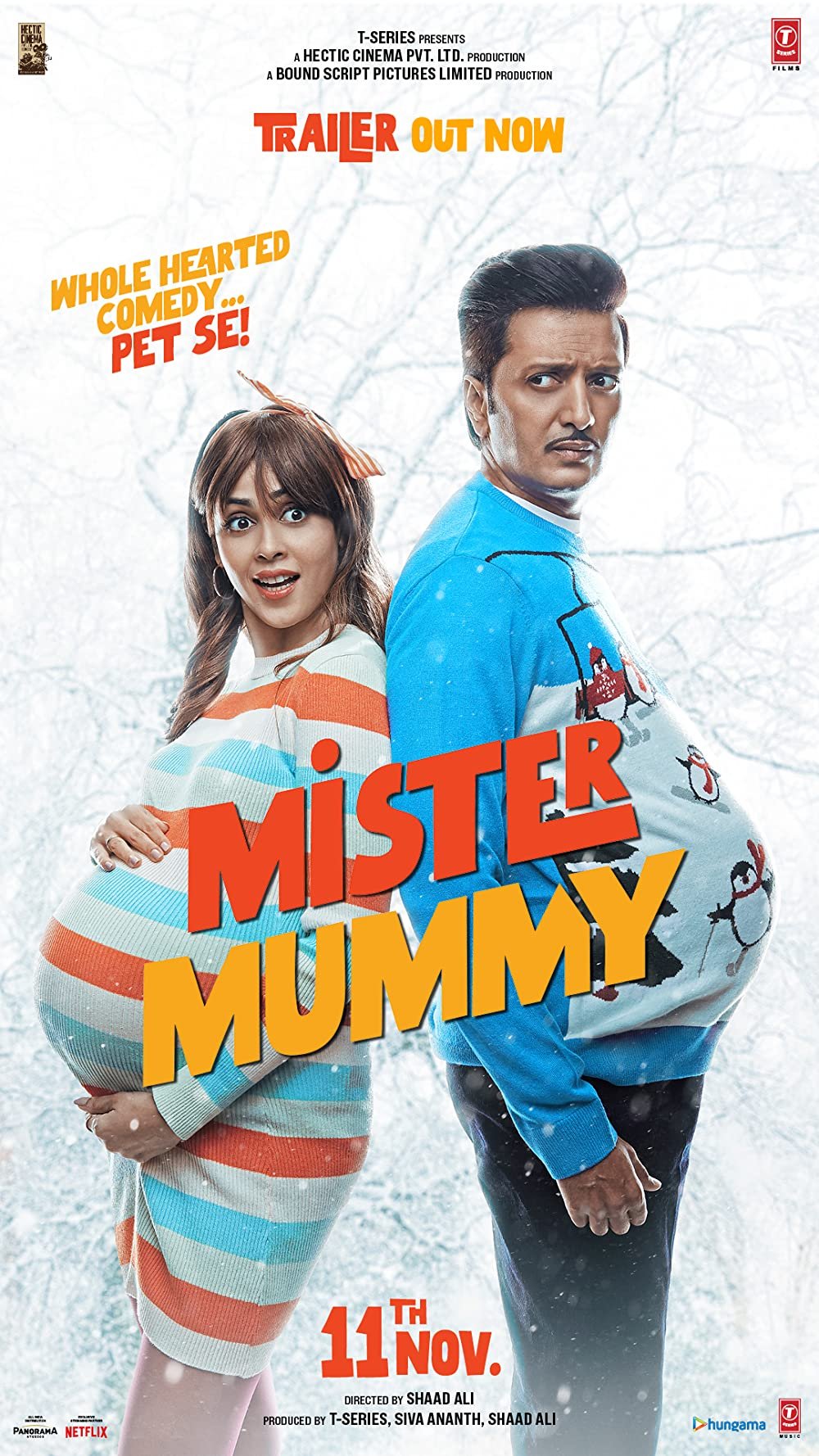 Mister Mummy (2022) Hindi 720p + 1080p NF WEB-DL x265 10bit HEVC DDP5.1